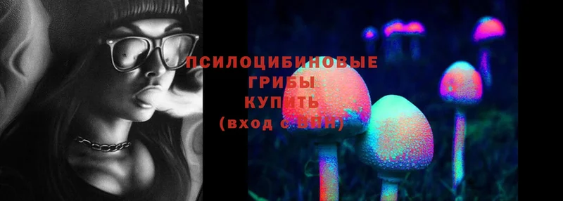 Псилоцибиновые грибы Psilocybine cubensis  Джанкой 